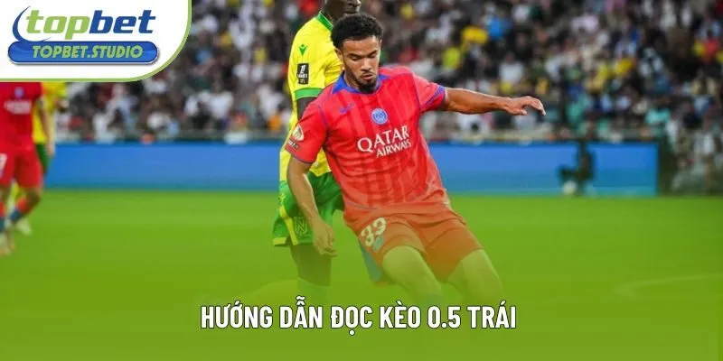 Hướng dẫn đọc kèo 0.5 trái Hướng dẫn đọc kèo 0.5 trái