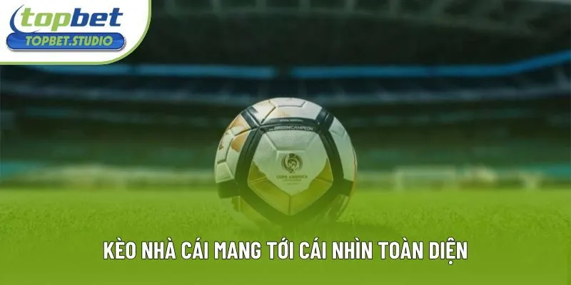 Kèo nhà cái mang tới cái nhìn toàn diện Kèo nhà cái mang tới cái nhìn toàn diện