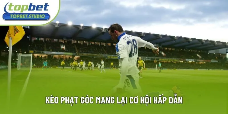 Kèo phạt góc mang lại cơ hội hấp dẫn Kèo phạt góc mang lại cơ hội hấp dẫn
