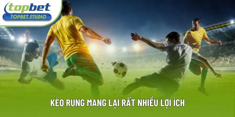 Kèo rung mang lại rất nhiều lợi ích Kèo rung mang lại rất nhiều lợi ích