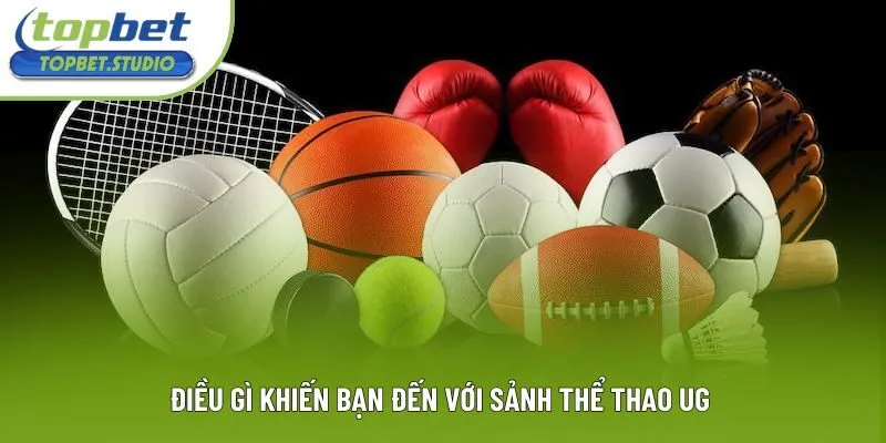 Điều gì khiến bạn đến với sảnh thể thao UG Điều gì khiến bạn đến với sảnh thể thao UG
